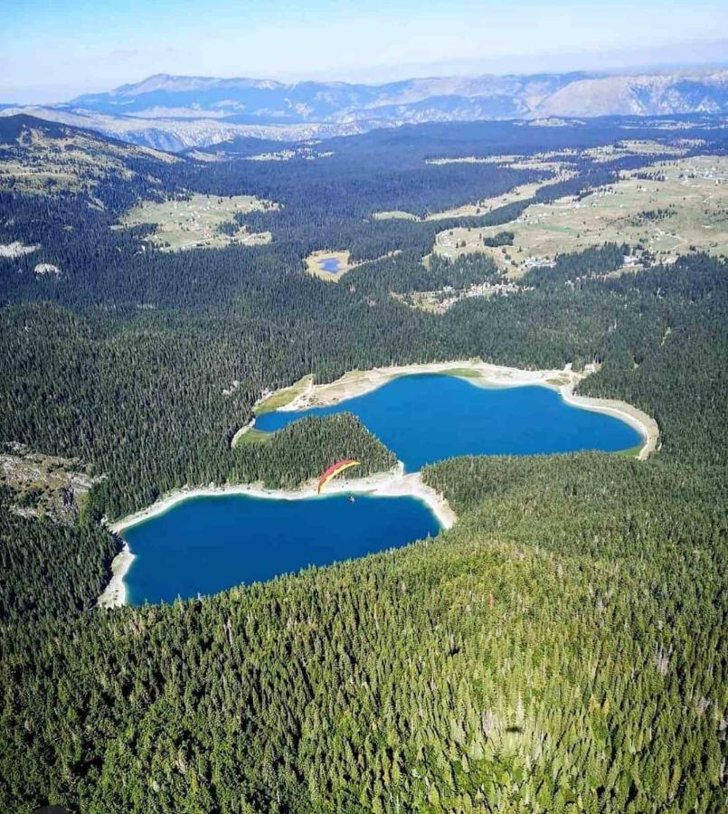 North Forest Žabljak Buitenkant foto